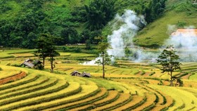 Phụ phẩm nông sản đang bị lãng phí