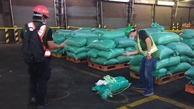Bắt thêm lô hàng 276 kg ma tuý trong đường dây ma tuý lớn nhất từ trước tới nay.