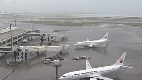 Hủy nhiều chuyến bay đi, đến Nhật Bản và Hàn Quốc do bão Tapah