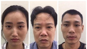 Phá ổ nhóm đẻ thuê giá 550 triệu/trường hợp