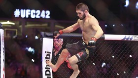 Khabib là Vua của làng MMA với thành tích 28 trận bất khả chiến bại
