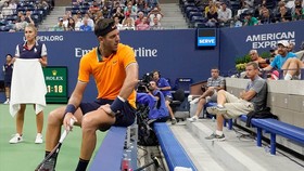 Del Potro phủ nhận đàm phán với Gerard Pique về Davis Cup