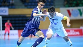 Giải futsal VĐQG 2019 sẽ có sự tham dự của 13 đội