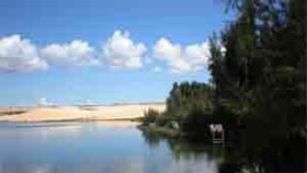 An oasis nestled in the lap of white desert sands