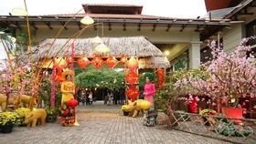 Tái hiện khung cảnh và hương vị tết xưa