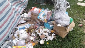 Đà Nẵng: Công viên 29 tháng 3 ngập rác sau tết