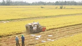 Hiệu quả từ sản xuất liên kết