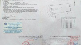 Công ty bất động sản Anh Luân: Chuyển nhượng đất vàng