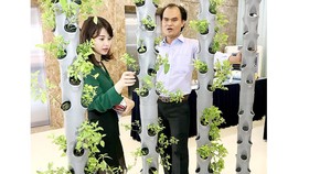 Khởi nghiệp từ nhu cầu thị trường