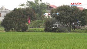 Phun thuốc, sạ giống bằng máy bay không người lái
