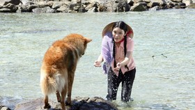 “Đảo khát” gắn kết tình yêu với biển