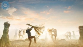 "Vũ điệu cói" đoạt huy chương vàng