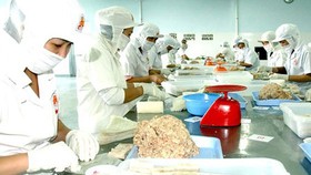 Gần 116.000 doanh nghiệp thành lập mới và quay lại hoạt động