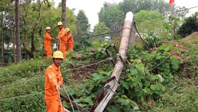 Khắc phục sự cố đường dây cấp điện cho hơn 4000 hộ dân vùng cao Quảng Nam