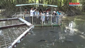 TPHCM thiết kế chùm tour, đẩy mạnh kích cầu du lịch