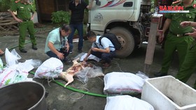 Thái Nguyên phát hiện hàng loạt động vật quý hiếm trong nhà dân