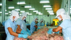Xuất khẩu cá tra năm 2019 phấn đấu đạt 2,4 tỷ USD