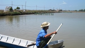 Nông dân Trà Vinh theo dõi tình hình các ao nuôi tôm để có phương án phòng, trị bệnh