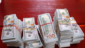 Tang vật USD được lực lượng chức năng thu giữ