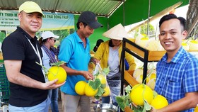 Phát triển bền vững du lịch nông nghiệp tại ĐBSCL
