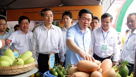 Phó Thủ tướng Vương Đình Huệ xem các sản phẩm nông nghiệp ở ĐBSCL