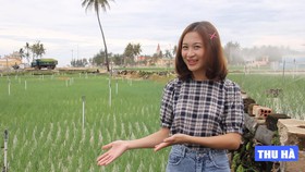 Đặc sản và những thắng cảnh độc đáo ở Lý Sơn