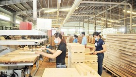 Production of MDF products at a local company. (Photo: SGGP)