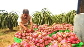 Firms need to be cautious about exporting to China