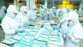 Workers process food at a Korean company in Ho Chi Minh City. (Photo: SGGP)