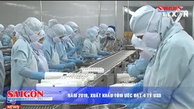 Điểm tin SGGP Online ngày 14.02.2019