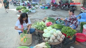 Đi chợ với giỏ đệm “thời trang”, giải pháp mới bảo vệ môi trường