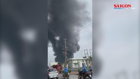 Điểm tin SGGP Online ngày 11-8-2019