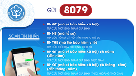 Người dân có thể tra cứu về bảo hiểm qua tổng đài 8079