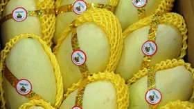 Tăng cường giải pháp phát triển kinh tế