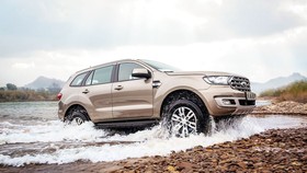 Everest lập kỷ lục mới, đạt doanh số tháng cao nhất từ trước đến nay