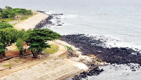 Đảo Cồn Cỏ