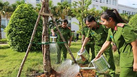 Phát động trồng cây xanh trong khuôn viên công sở