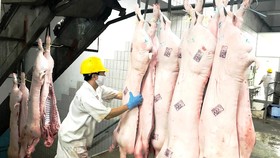 Kế hoạch dài hơi cho nguồn cung thịt heo