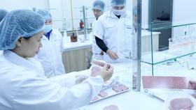 Thấy gì từ chuyến tham quan nhà máy thịt mát?