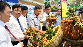 Đại diện Saigon Co.op hỗ trợ thu mua vải thiều tại tỉnh Bắc Giang và Hải Dương