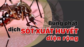 Bùng phát dịch sốt xuất huyết diện rộng