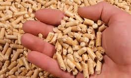 Cung cấp viên gỗ nén vào thị trường Nhật Bản