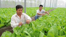 Giảm rủi ro từ biến đổi khí hậu