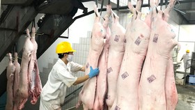 Bắt tay chuẩn bị nguồn hàng cuối năm