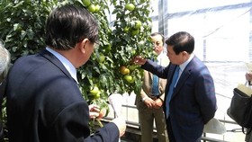 Chairman of the municipal People’s Committee Nguyen Thanh Phong visits an agricultural experimental station in Aichi. (Photo: Sggp)