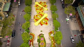 Nguyen Hue Flower Street seen from above