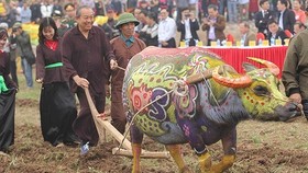 Deputy Prime Minister Truong Hoa Binh attends Tich Dien (ploughing) festival. (Photo: VGP)