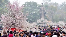 Annual Cherry Blossom Festival to return to Hanoi in March