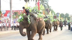 Elephants in street festival