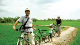 Foreign tourists visit the Mekong Delta region.